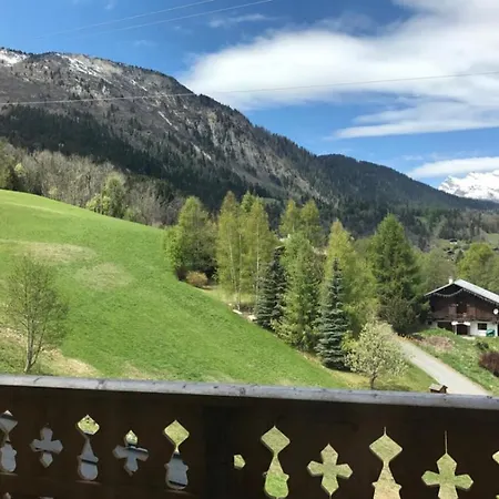 Au Pied / Chamonix 아파트 *