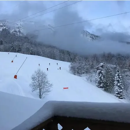 Au Pied / Chamonix 아파트 레우쉬